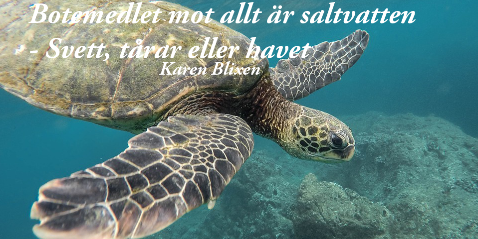 Dejtingsajter ner