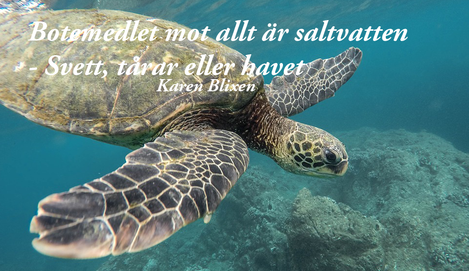 traumatisk hjärn skada dejtingsajter