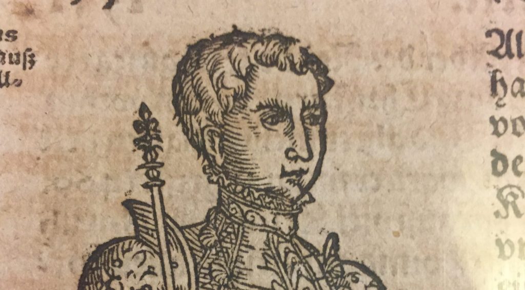 Propaganda broschyr med första bilden på Gustav Vasa? En bild på en ung Gustav Vasa.